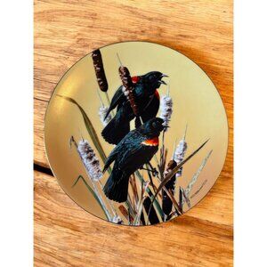 Vtg Portraits of Exquisite Birds Red Winged Blackbird Bradex plate only